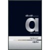 Nielsen Marco de aluminio Alpha TCSC 40x60 cm platino