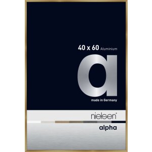 Marco de aluminio Nielsen Alpha TCSC 40x60 cm...
