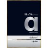 Nielsen Marco de aluminio Alpha TCSC 50x70 cm ámbar cepillado