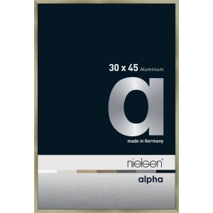 Marco de aluminio Nielsen Alpha TCSC 30x45 cm acero...