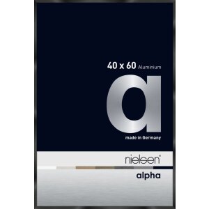 Nielsen Marco de aluminio Alpha TCSC 40x60 cm anodizado...