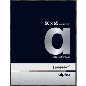 Marco de aluminio Nielsen Alpha TCSC 50x65 cm anodizado...