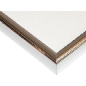 Marco de plástico Henzo Napoli 60x90 cm plata