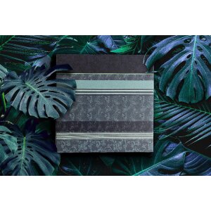 Walther Stock Album Pheline 40 a 200 fotos 10x15 cm y 13x18 cm