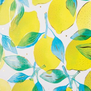 Agenda Citrus 16,5x16,5 cm