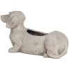 Clayre & Eef 6TE0305 Maceta Interior 24x9x13 cm Perro Gris