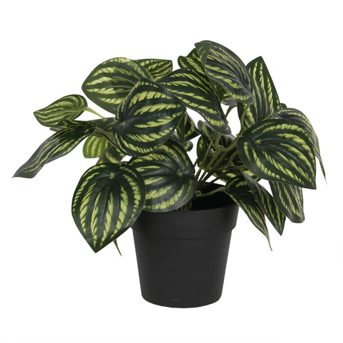 Decoración planta artificial 24x24x25 cm verde 6PL0217