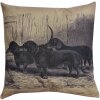 Cojín relleno 43x43 cm multicolor KG023.091