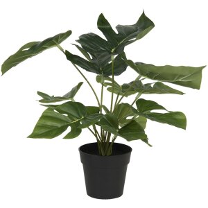 Decoración planta artificial Monstera Deliciosa...