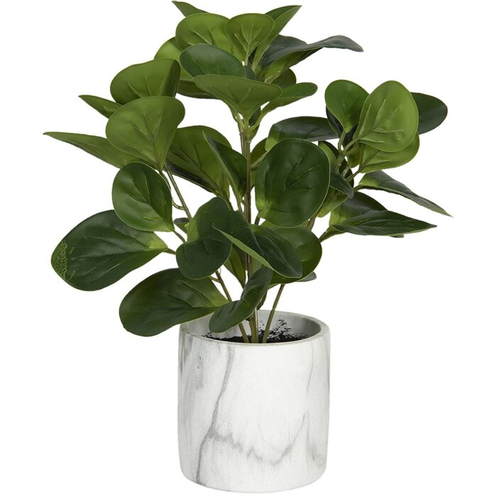 Decoración Planta artificial 31x31x32 cm verde 6PL0218