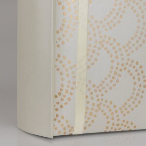 ZEP Álbum de boda Anais 32x32 cm dorado 100 páginas blancas