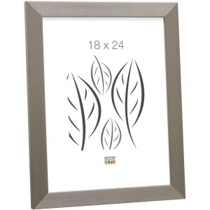 Marco de plástico S41VD1 plata 10x15 cm cristal...