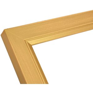Marco de madera Deknudt S42L oro 30x40 cm cristal premium