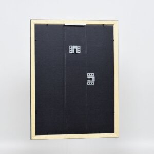 Efecto marco de madera perfil 2210 negro 30,5x91,5 cm cristal normal