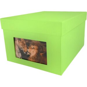 HNFD XL Photo Box Kandra 700 fotos 13x18 cm manzana