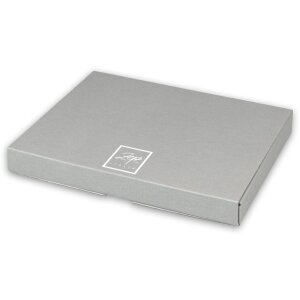 Marco alto brillo Volterra 10x15 cm plata
