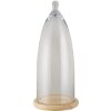 Campana de cristal transparente Ø 24x56 cm 6GL3005