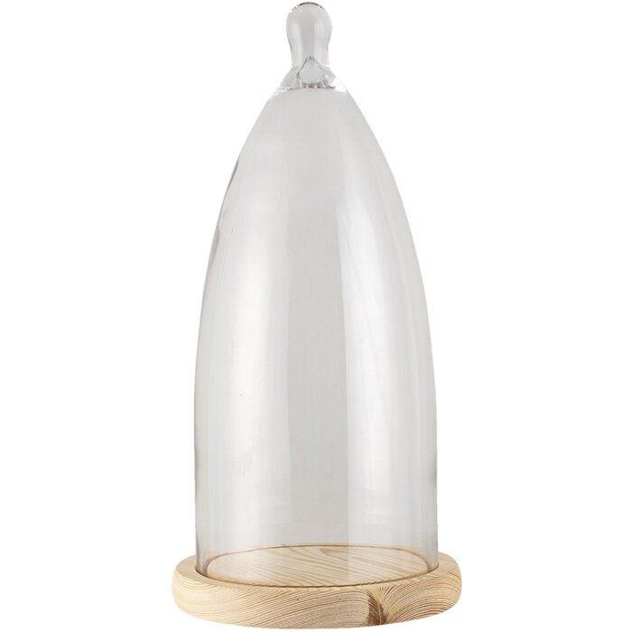 Campana de vidrio transparente Ø 19x41 cm 6GL3006