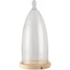 Campana de vidrio transparente Ø 19x41 cm 6GL3006