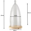 Campana de vidrio transparente Ø 19x41 cm 6GL3006