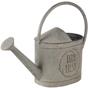 Decoración Regadera Gris 45x16x33 cm 6Y4249