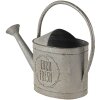 Decoración Regadera Gris 45x16x33 cm 6Y4249