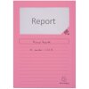 EXACOMPTA 55500E Carpeta con ventana SUPER Rosa A4 160g 100 unidades Eco