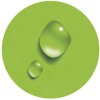 Exacompta Carpeta 3 Solapas Elástica Maxi Capacidad DIN A4 Iderama Verde Anís