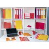 Exacompta caja archivo lomo 80 mm 25x33 cm DIN A4 Iderama colores surtidos
