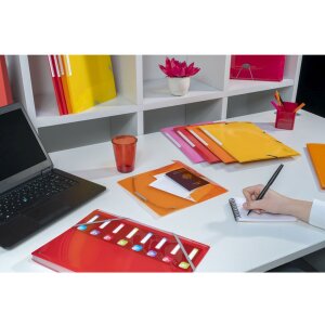 Exacompa carpeta organizadora lomo elástico 8 compartimentos DIN A4 Iderama surtido