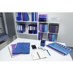 Exacompa carpeta organizadora lomo elástico 8 compartimentos DIN A4 Iderama surtido