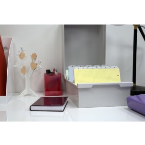 Exacompta 52340D Caja portatarjetas DIN A5 gris claro