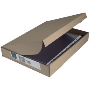 Exacompta paquete de 100 bolsillos para folletos perforados PVC liso 80µ DIN A4 alto