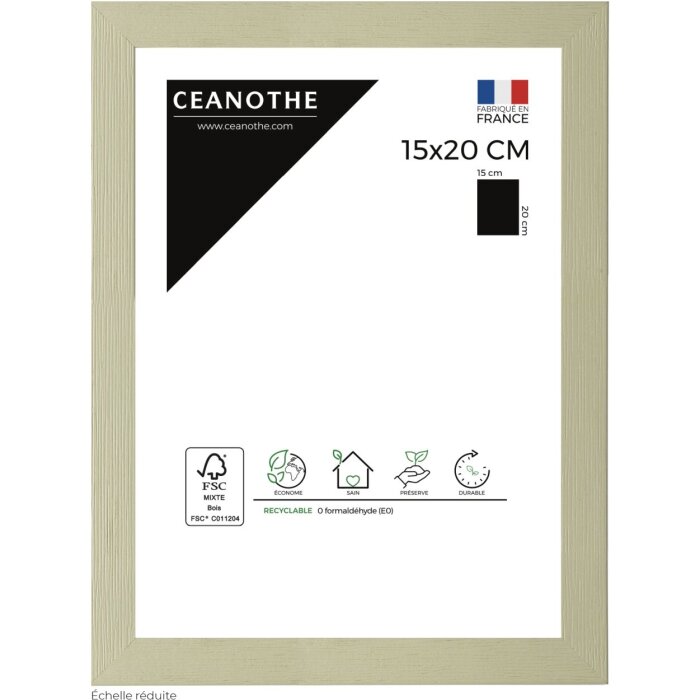 Ceanothe Marco Karma 15x20 cm verde lima