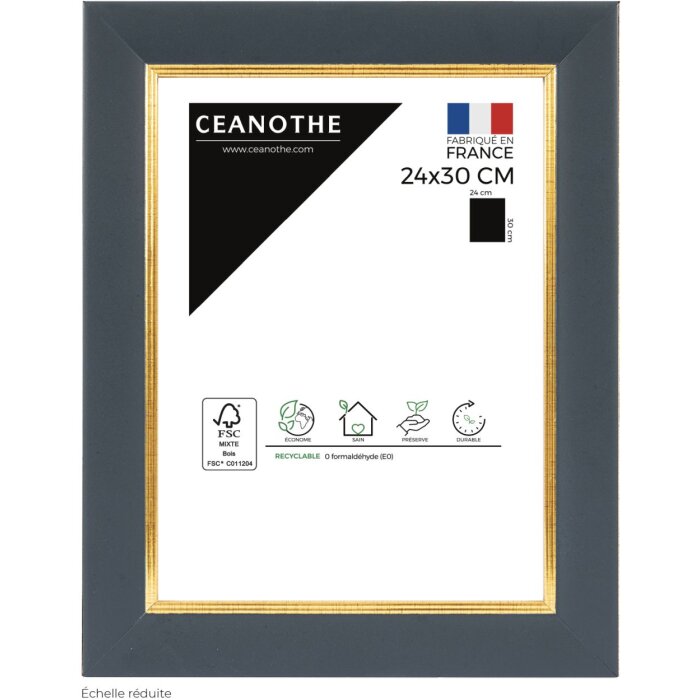 Ceanothe Marco Hades 24x30 cm azul