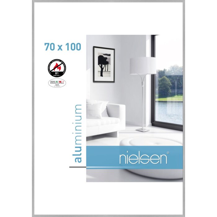 Marco de protección contra incendios Nielsen C2 Estructura Plata Mate 70x100 cm