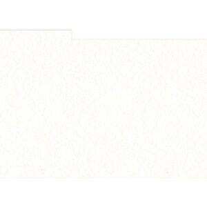 HNFD 10 Photo Box Separadores 15x20 cm - Bianco Naturale