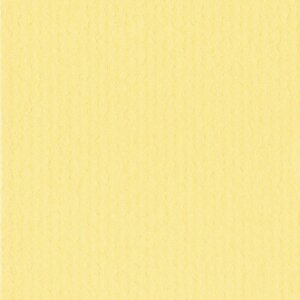 HNFD 10 tarjetas separadoras para cajas de fotos 15x20 cm - Giallo