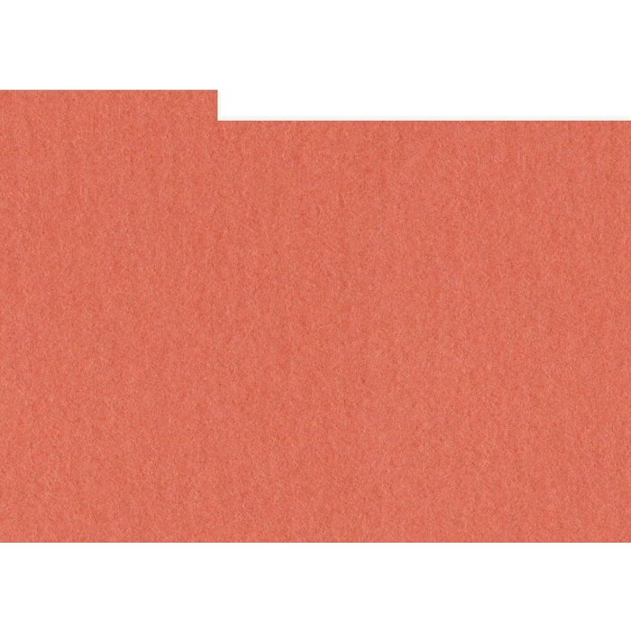 HNFD 10 Photo Box Separadores 15x20 cm - Corallo