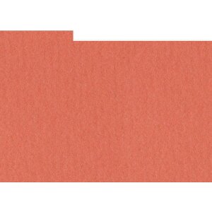 HNFD 10 Photo Box Separadores 15x20 cm - Corallo