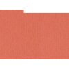 HNFD 10 Photo Box Separadores 15x20 cm - Corallo