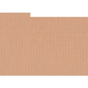 HNFD 10 Photo Box Separadores 15x20 cm - Acero