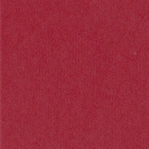 HNFD 10 tarjetas separadoras para cajas de fotos 15x20 cm - Rosso Cardinale