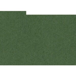 HNFD 10 Photo Box Separadores 15x20 cm - Verdone