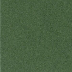 HNFD 10 Photo Box Separadores 15x20 cm - Verdone