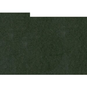 HNFD 10 Photo Box Separadores 15x20 cm - Nero