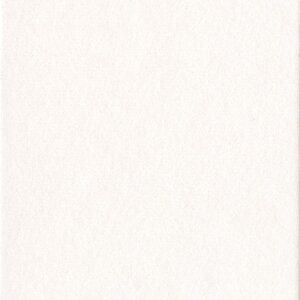HNFD 10 Photo Box Separadores 15x20 cm - Bianco Artico