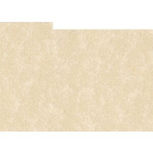 HNFD 10 Tarjetas de Separación Foto Box 15x20 cm -...