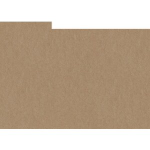 HNFD 10 Separadores para cajas de fotos 15x20 cm - Malto