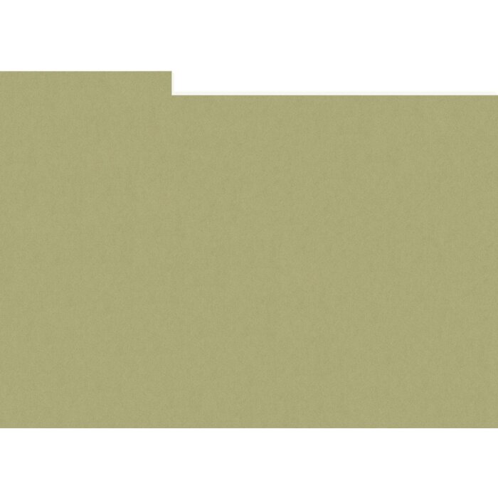 HNFD 10 Photo Box Separadores 15x20 cm - Verde Alga